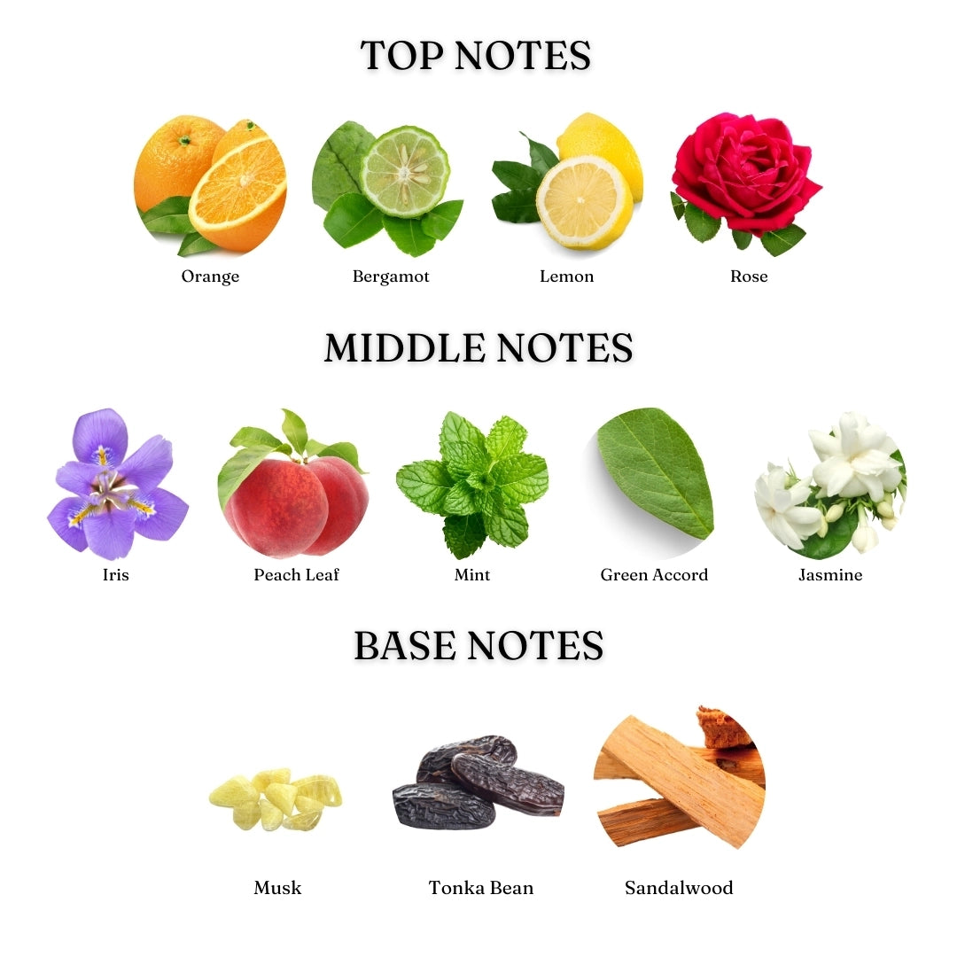 Enchanted (Musk Al Sabaya) - Dziris