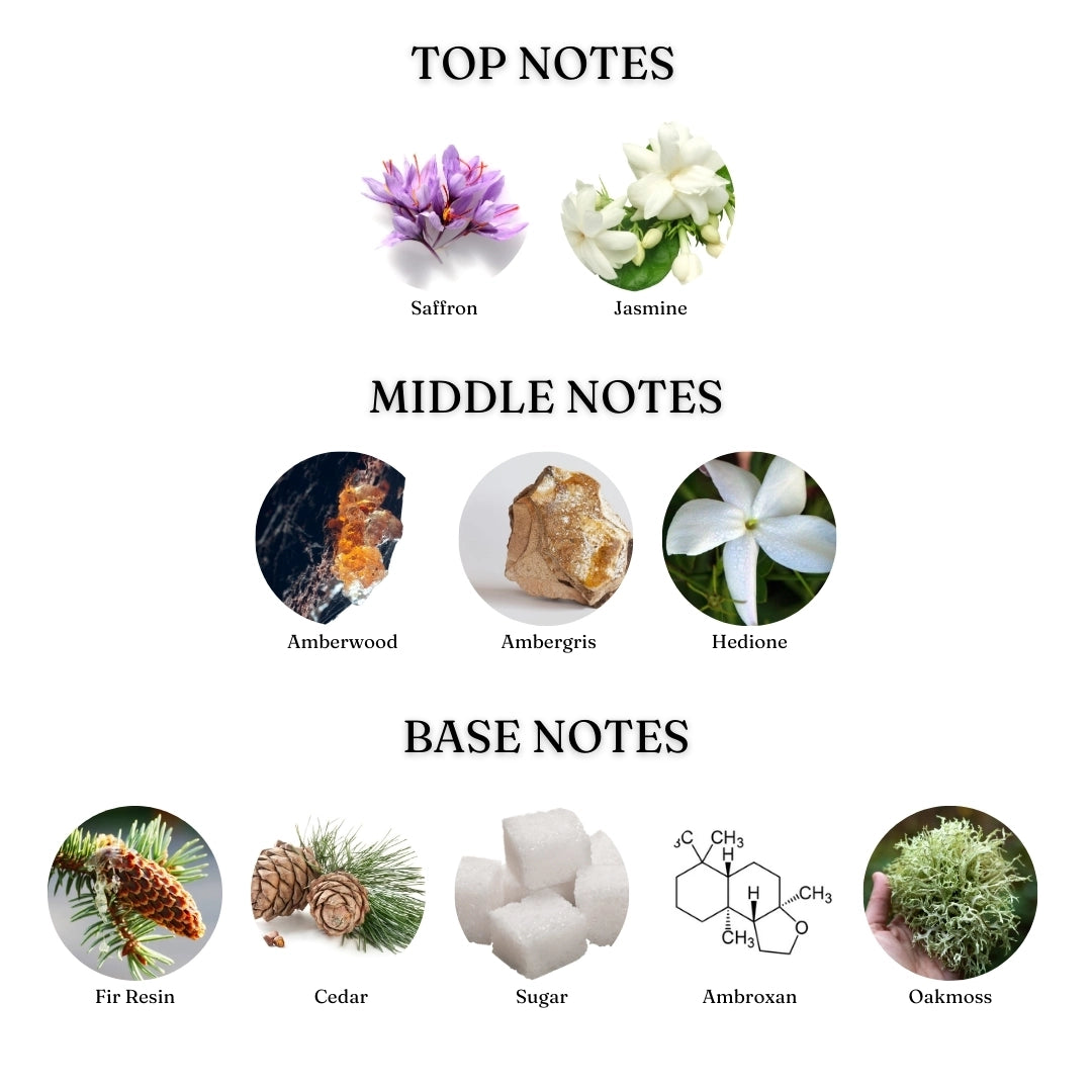 Bash (Baccarat Rouge 540) - Dziris