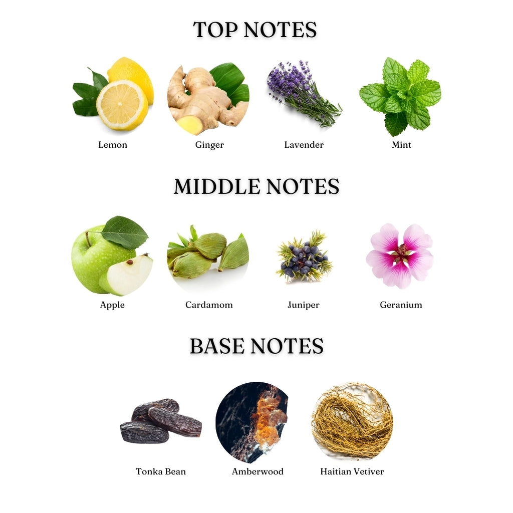 Wanted (Azzaro Wanted) - Dziris